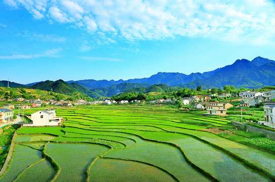 中峰风光CW