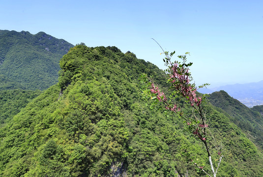 中峰风光CX