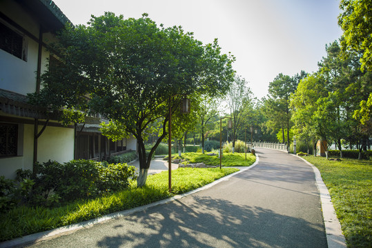 景区步道