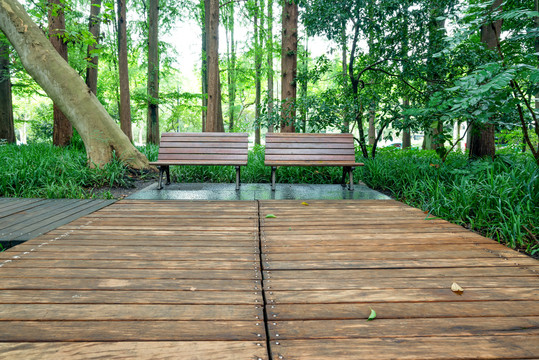 公园景观树林中的木板平台与休息