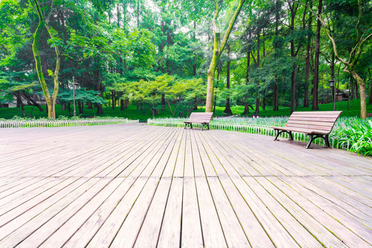 公园景观树林休息椅