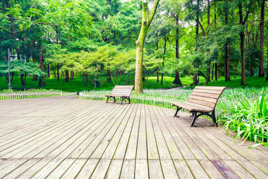 公园景观树林中木板平台与休息椅