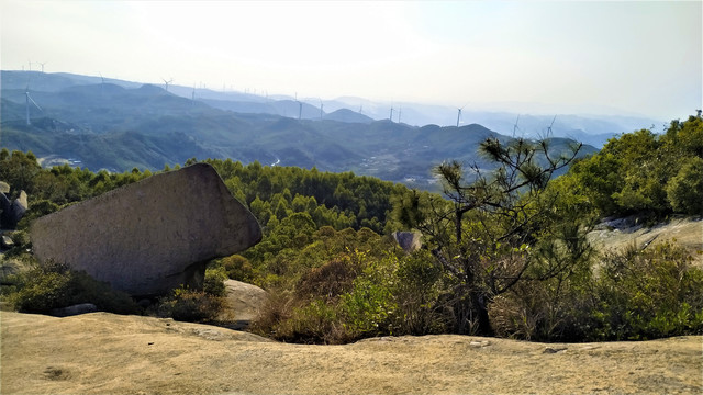 巨石和松树