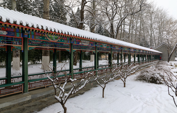 雪中颐和园