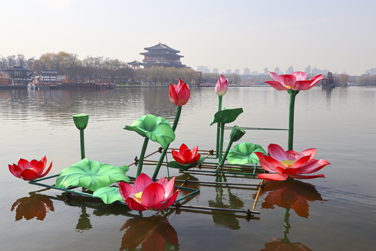 荷花景观彩灯