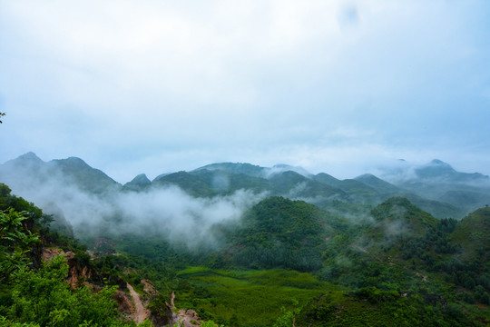 南丹山雾海风光