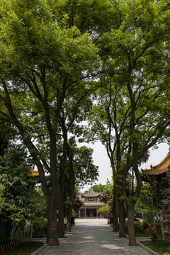 碑林