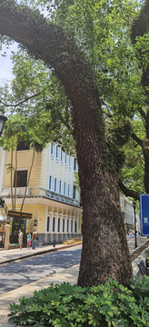 广州沙面