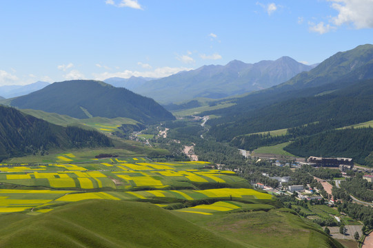 青海卓尔山