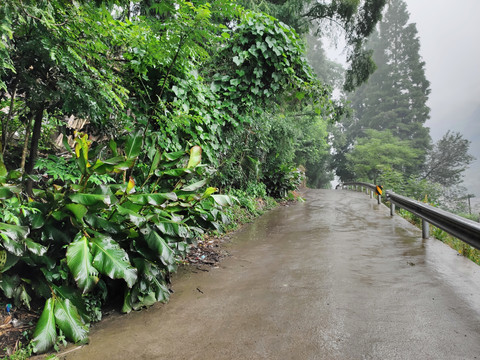 乡村公路护栏