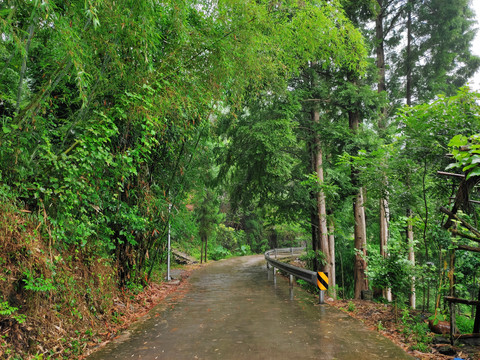 乡村公路护栏