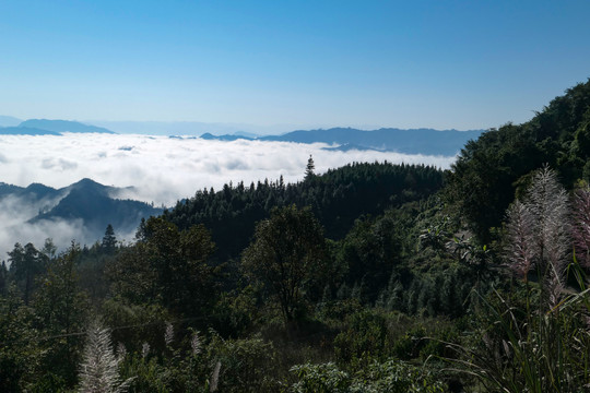 南丹山云海雾海风光