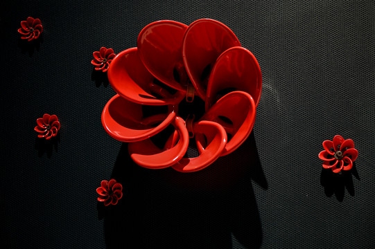 上海世博会委内瑞拉馆的红花装饰