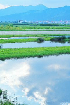 会泽美丽乡村