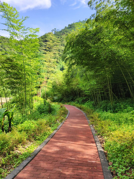 景观游道