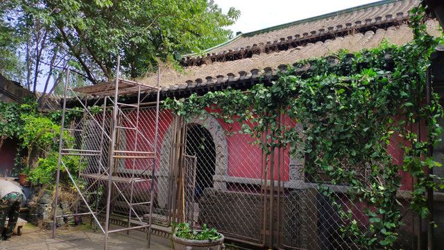 八九十年代老北京大杂院