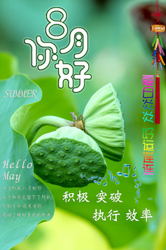8月你好