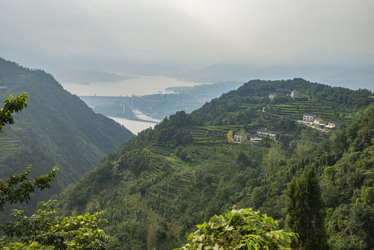 三峡水库大坝