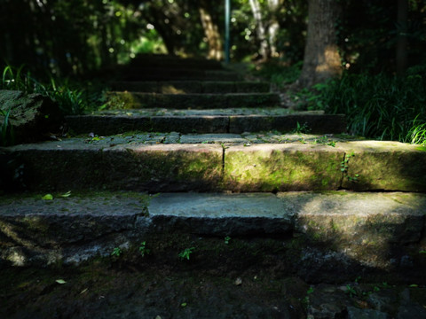 栖霞岭古道