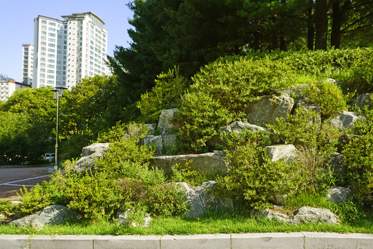韩国城市公园自然风格的护坡