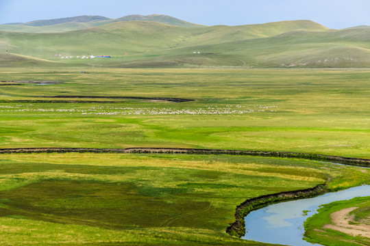 草原河流蒙古包羊群