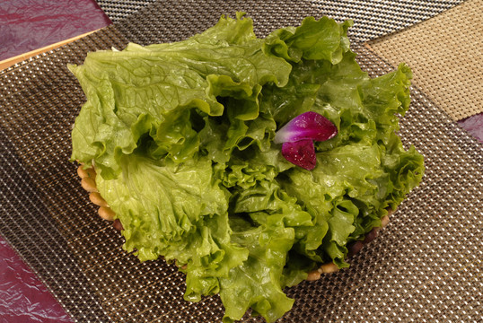 生菜1
