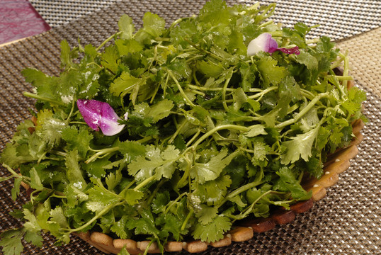 香菜1