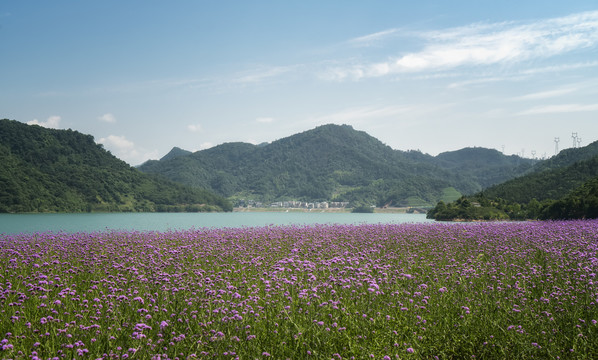 千岛湖局部美景