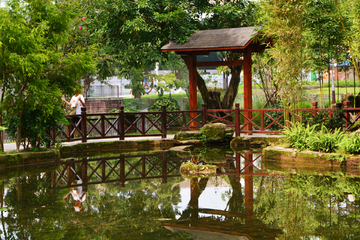 园林池塘景观