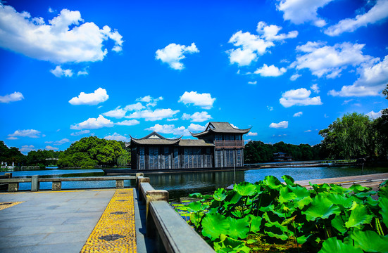 杭州西湖曲院风荷夏天