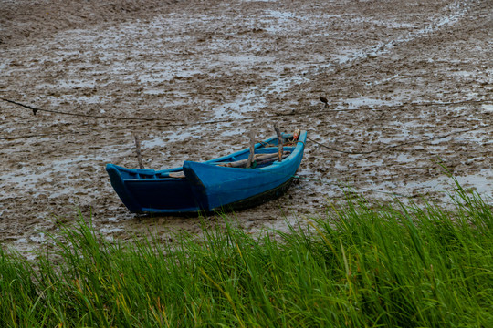 滩涂上搁浅的渔船