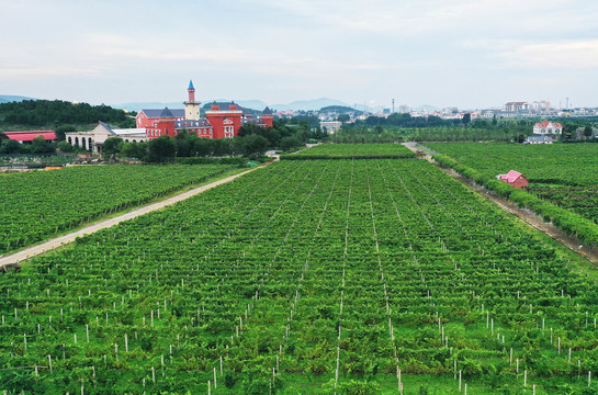 山东枣庄山亭区汉诺庄园