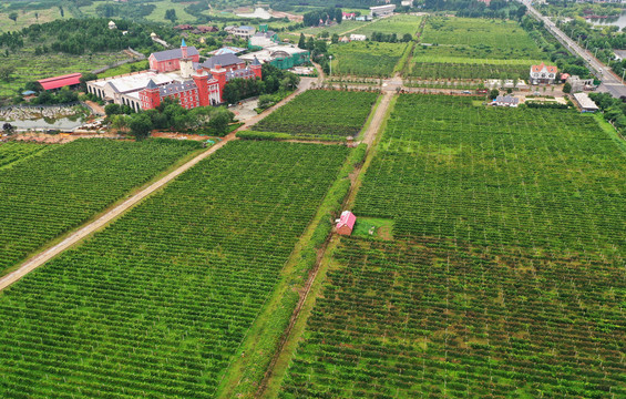 山东枣庄山亭区汉诺庄园