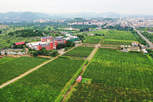 山东枣庄山亭区汉诺庄园