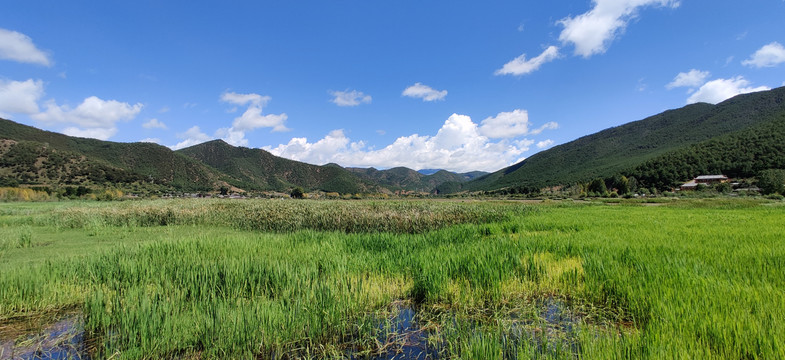 泸沽湖