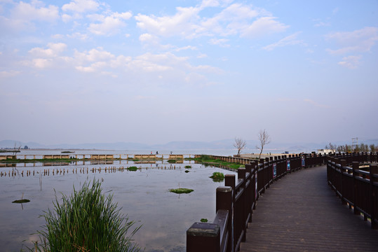 湿地栈道