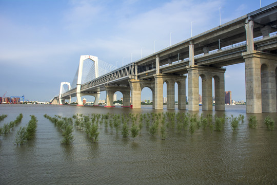 芜湖长江大桥三桥
