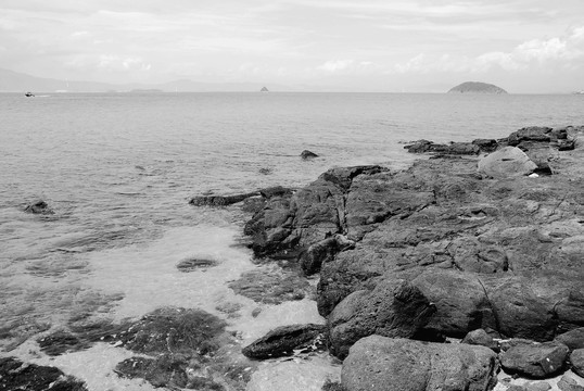 大海石滩黑白照