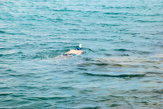 海面潜水的人