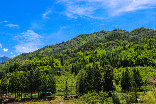 退耕还林山地