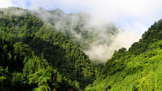 仙气飘飘大青山