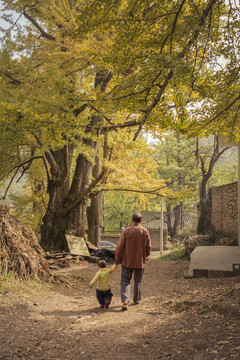贵州妥乐村银杏树下的老人与小孩