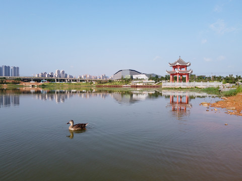 广西南宁五象湖桂象湖水景航拍