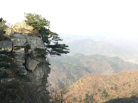 黄柏山