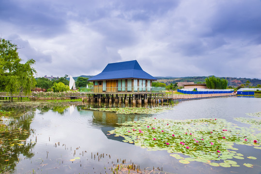 云南抚仙湖湿地