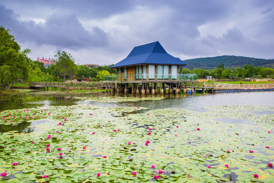 云南抚仙湖湿地