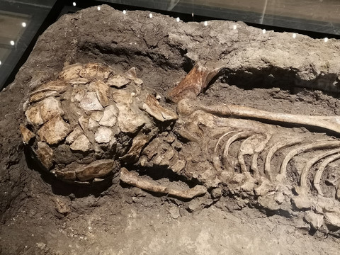 马家浜文化博物馆人体骨架