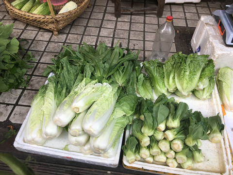 蔬菜