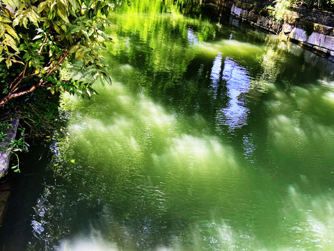 绿色河水