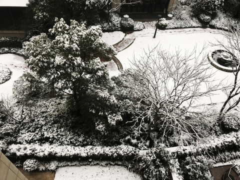 雪中院落